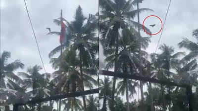 Can a bird unfurl flag? Here’s truth behind Kerala’s viral video of Independence Day hoisting – The Times of India