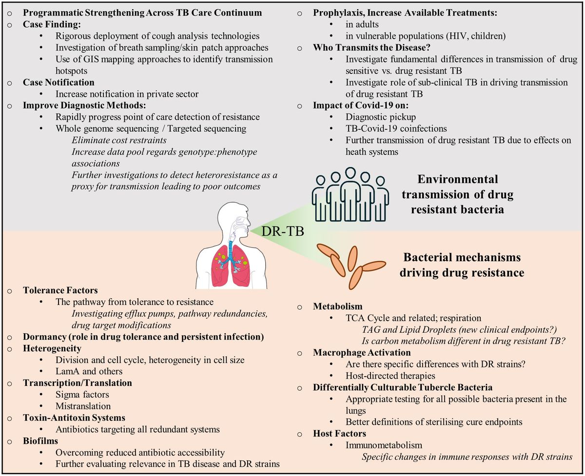 Drug resistant tuberculosis: India to introduce effective short-term treatment regimen – Deccan Herald