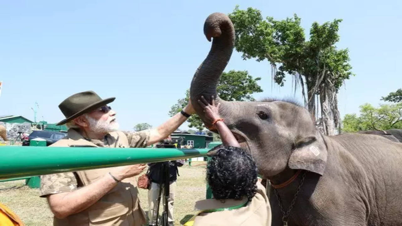 World Elephant Day: PM Modi affirms India’s commitment to ensure conducive habitat – The Federal