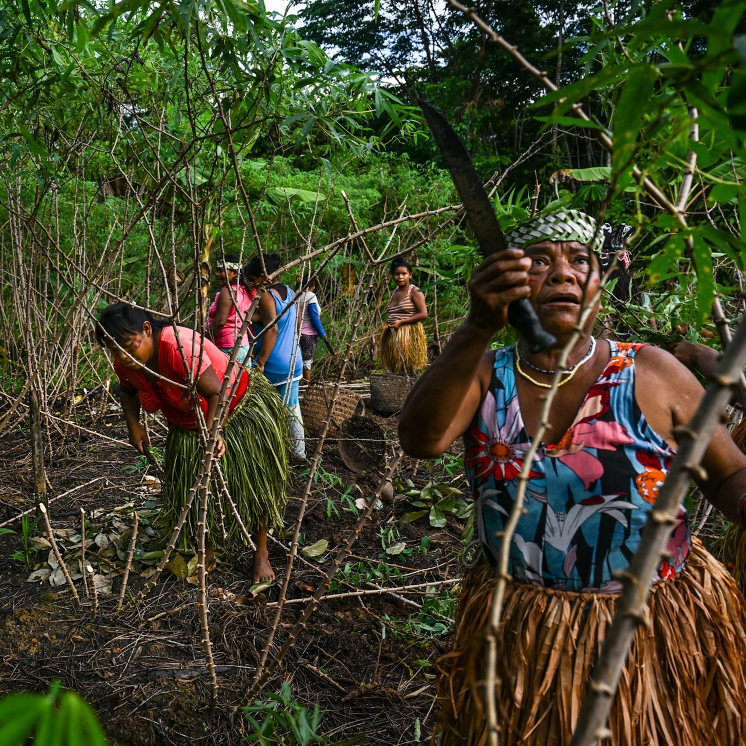 World Tribal Day: This Is The Most Isolated Tribe In The World, And It Lives In India – Times Now