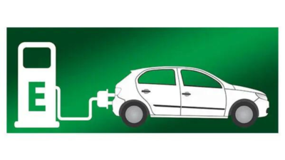 Government banks on homegrown companies to push EVs – The Times of India